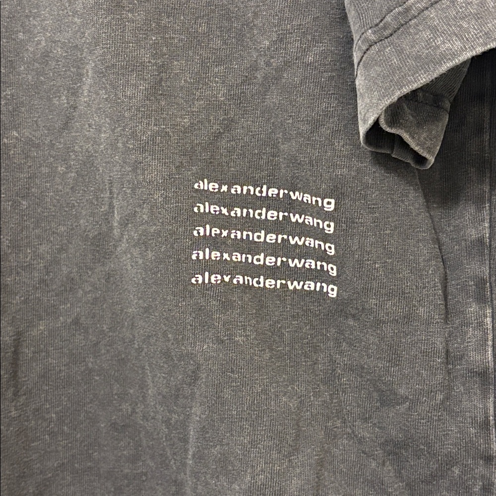 Alexander Wang Charcoal Men's t shirt gray black soft xl - Picture 3 of 5